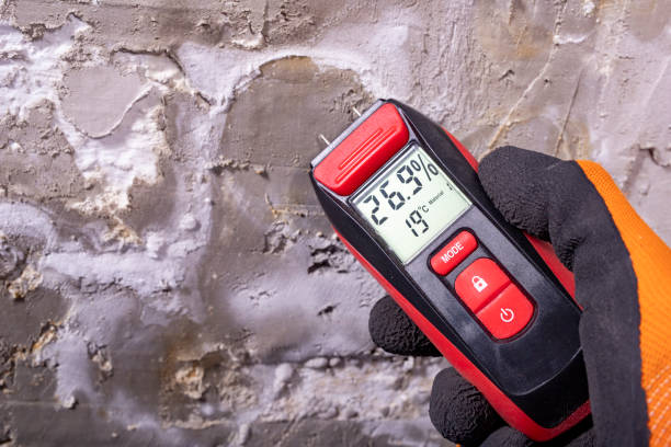 Best Black Mold Removal  in Luling, LA