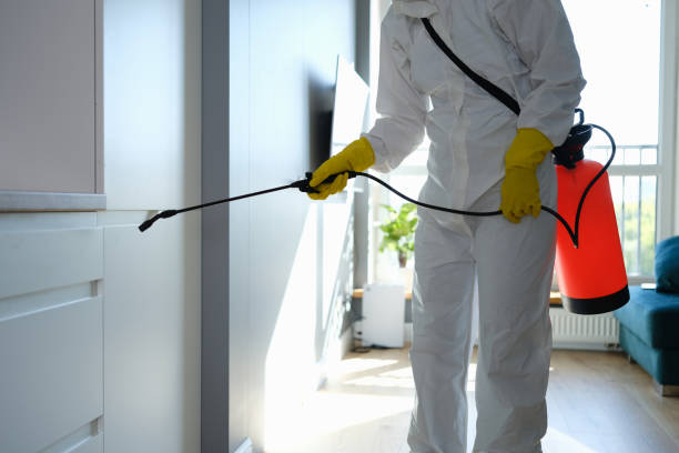 Best Mold Cleaning Services  in Luling, LA