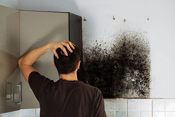 Best Crawl Space Mold Removal  in Luling, LA